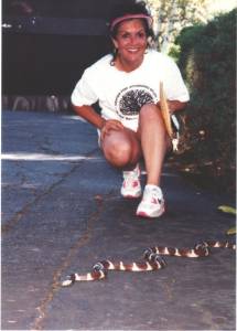 1990-91 Fellow And Snake